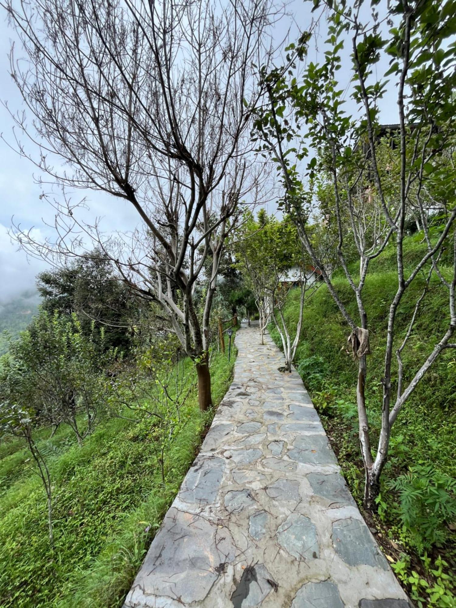 Apple Garden Cottages And Restaurant Данаулти Екстериор снимка